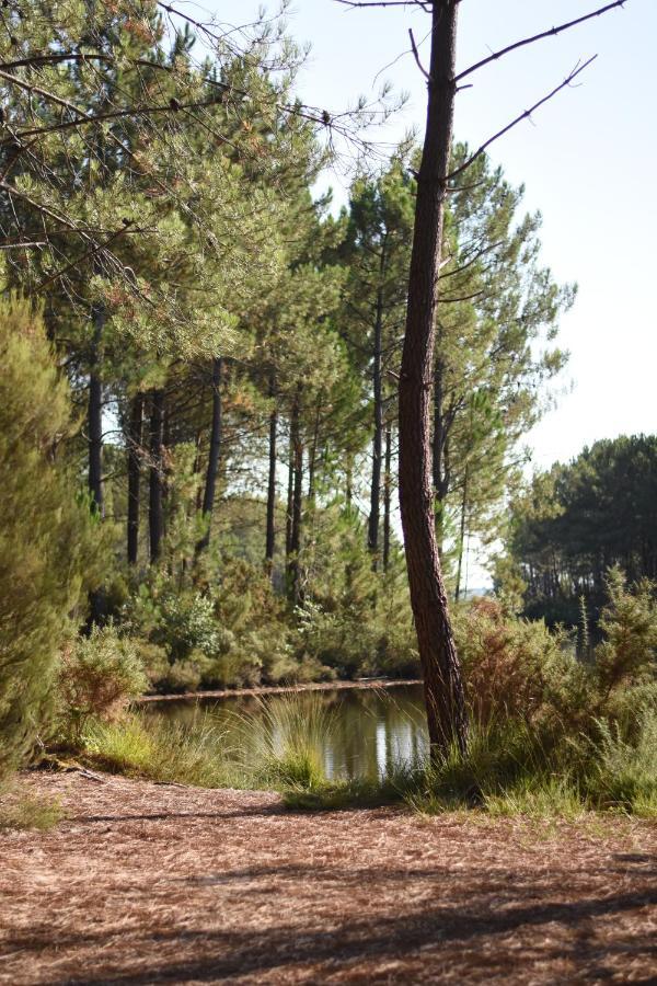 La Cachette Du Lac لاكانو المظهر الخارجي الصورة